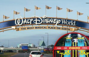 A Disney World Soft está reivindicando ferimentos nas bacias hídricas Dippl-Dipper-Getny-Disney-World-1