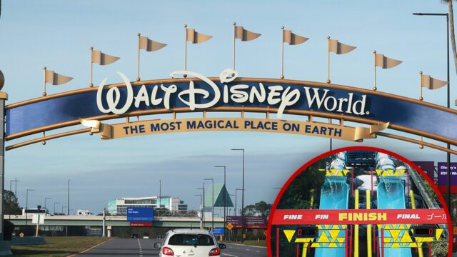 Dippl-Dipper-Getny-Disney-World-1