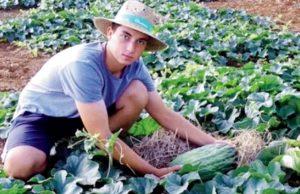 A adolescente fica pesada para os melões sobre a máquina de hardware limpa A adolescente fica pesada para os melões sobre a máquina de hardware limpa