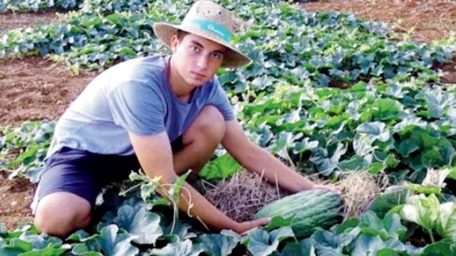 A adolescente fica pesada para os melões sobre a máquina de hardware limpa

