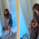 A câmera de segurança captura a mulher exata no momento "sabia" do cão adotivo