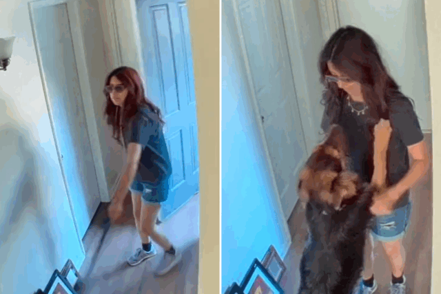 A câmera de segurança captura a mulher exata no momento "sabia" do cão adotivo


