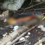 A cronologia de Bobi mutilou as vítimas do assassinato até que ele comeu os pedaços de seu corpo
