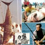 A lenda do tubarão de Long Island "Monster" Shark poderia inspirar "Jaws", o icônico capitão Quint