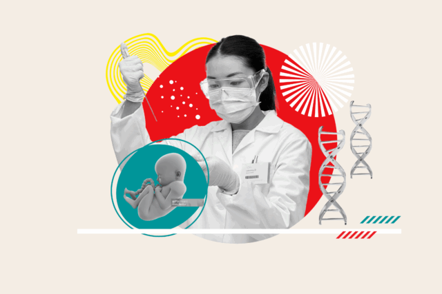 A nova ferramenta de fertilização in vitro permite que os pais da tela embrionária: é ética?

