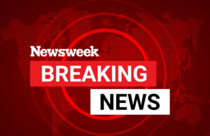 Novo aviso de tsunami depois de outro grande terreno A polícia de choque está desaparecendo na virilha depois de ser solicitado o nome