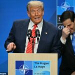 O presidente Donald Trump (à esquerda) parecia gostar de ser chamado de 'pai' para o qual ele foi encaminhado na melhor reunião da OTAN na quarta -feira em Haia pelo secretário -general Mark Rutte. O secretário de Estado Marco Rubio (à direita) quebrou o personagem quando perguntado sobre Ruttes