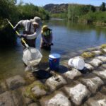 Um grupo de trabalhadores ambientais em Alameda Creek na terça -feira, 24 de junho de 2025, em Sunol, Califórnia, com o distrito de Parques Regionais de East Bay, a Sequoia Ecological Consulting, a Comissão de Utilidades Públicas de São Francisco e a California Trout Fish para uma seção para parar a Alameda Caly. (Aric Crabb/Bay Area News Group)