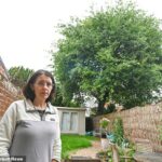 Orla Williams, 40, (foto) e seu parceiro se mudaram para a casa de Classe II em terraços na Canon Street há dois anos e solicitaram a árvore para cair