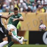 Assista: Paulinho comemora em tempo extra para dar uma vantagem a Palmeiras contra o Botafogo
