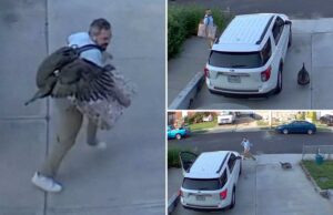 “Aterrorizado”, Staten Islander, processado pela Furious Turkey em uma chegada selvagem de confronto capturado na frente da câmera Um homem de Staten Island estava em um confronto de pássaros selvagens, quando o peru mal -humorado o perseguia pela entrada de automóveis no confronto de pássaros capturados em frente à câmera.