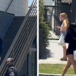 White-Censor-Cuddly-Bald-06-18-2025