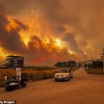 Grandes incêndios eclodiram em Izmir, Turquia, causando o caos de viagem para centenas de passageiros