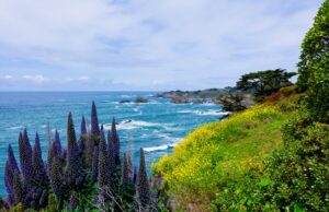 Cartas: Califórnia é um modelo nacional. Não há costas. Cartas: Califórnia é um modelo nacional. Não há costas.