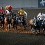 Cavalos cavalos, canetas sombreadas para touros parte da segurança do rodeio em calgary Stampede