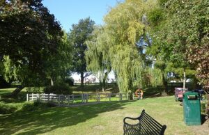 Cinco crianças no hospital depois que a árvore cai sobre as pessoas no parque – a polícia declara “incidente grave” Ambulâncias aéreas, rebanhos paramédicos, policiais e brigas de bombeiros correram para Chalkwell Park (foto, foto de arquivo) em Southend-on-Sea, Essex, pouco antes das 15h00 hoje
