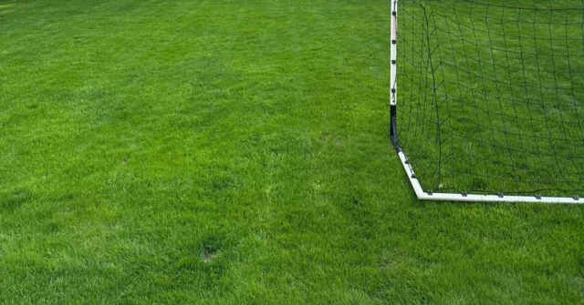 Com que frequência você rega e corta o gramado?

