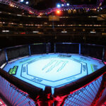 Como assistir ao UFC 316 Prelims: Stream Merab Dvalishvili vs Sean O'Mally 2 Undercard