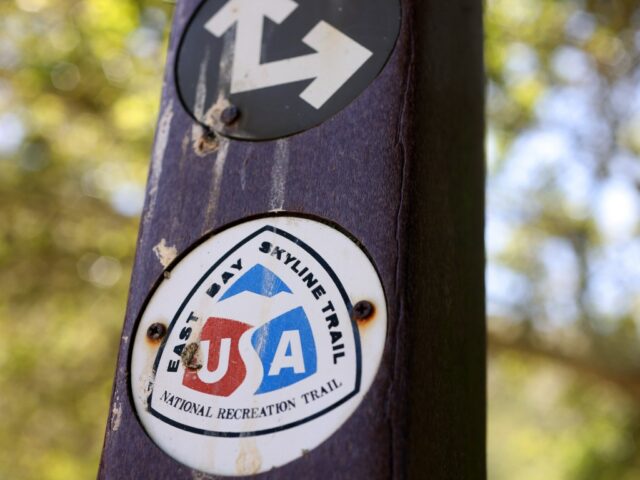 Um grupo acompanha uma seção do East Bay Skyline Trail no Tilden Regional Park (Aric Crabb/Bay Area News) na quinta -feira, 12 de junho de 2025 em Berkeley, Califórnia