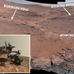Marte Curiosidade Rover Image Ridge Boxwork.