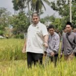 DPR: a permissão do agente deve ser revogada se for difícil para os agricultores obter um fertilizante subsidiado