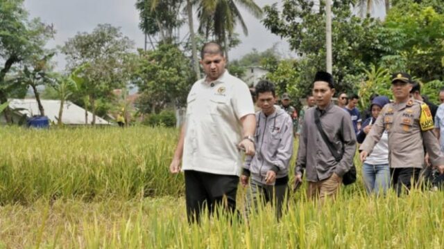 DPR: a permissão do agente deve ser revogada se for difícil para os agricultores obter um fertilizante subsidiado

