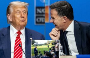 “Daddy House”: a Casa Branca está se divertindo com a atenção viral do chefe da OTAN sobre Trump Donald Trump e Mark Rutte no cume da OTAN.