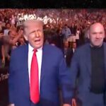 Donald Trump Dana White UFC