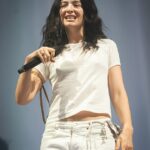 Lorde, 28 anos, surpreendeu os seguidores quando lançou uma raio x de uma pélvis como a capa de seu último álbum - mas um fã agora fez um
