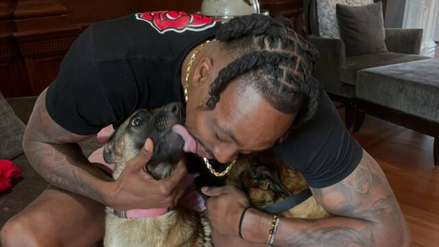 Cachorro de Date Howard