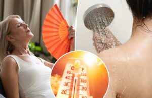 É por isso que tomar um banho frio durante uma onda de calor é extremamente perigoso, dizem especialistas Uma mulher mais velha usa um ventilador para esfriar ao sentar no sofá.