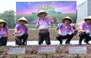 Ele obteve a segurança alimentar da cidade, Banten se tornou uma locomotiva dos promotores de alimentos Mandiri Ele obteve a segurança alimentar da cidade, Banten se tornou uma locomotiva dos promotores de alimentos Mandiri