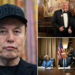 Elon Musk rasga o diretor da equipe de Trump Sergio Gor como uma "cobra"