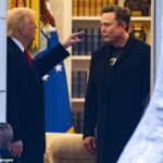 Uma foto do presidente Donald Trump (à esquerda) e Elon Musk (à direita) no Salão Oval em março. Trump e Musk espetacular terminaram na quinta -feira com Musk incentiva publicamente Trump a ser impeachment