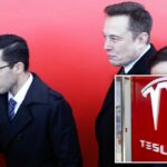 Elon Musk teria disparado o longo "fixador" Omead Afshar como uma diminuição nas vendas de Tesla