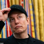 Elon Musk tornou -se energia nuclear no presidente Trump's