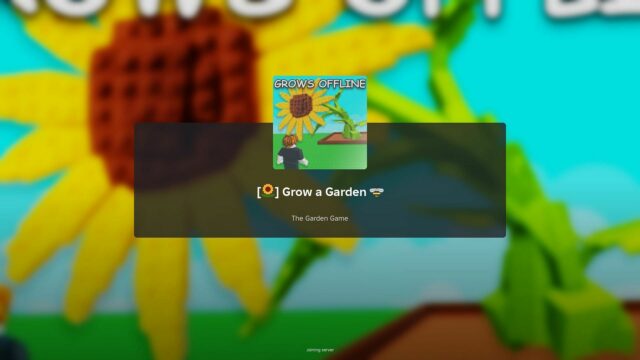 Semente de lírio (imagem através de roblox)