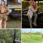 Estrelas do safaris