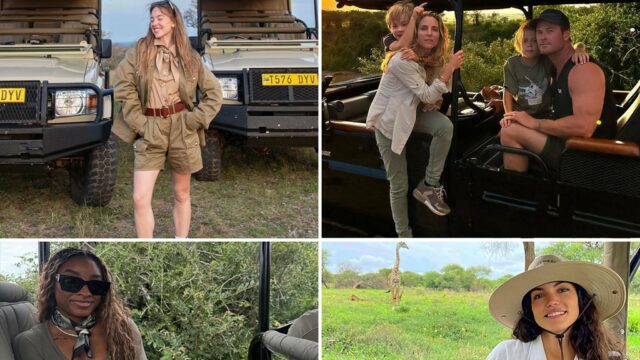 Estrelas do safaris
