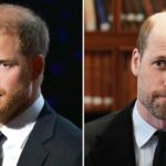 Quebrando o que as estrelas demonstraram apoio ao príncipe William ou Harry, que está em seu canto, Taylor Swift Travis Kelce Príncipe William Charlotte George