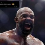 Revisões de fãs. (Capturas de tela cortesia: @arielhelwani x on)