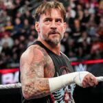 "Eu provavelmente o assustei" - estrela feminina para encontrar o cm punk 10 vezes como um fã da WWE