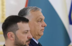 Exchange de frases quentes na cúpula da OTAN. Palavras poderosas de Orban para Zelansky Exchange de frases quentes na cúpula da OTAN. Palavras poderosas de Orban para Zelansky