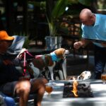 Camps Dog Treats na quarta -feira, 11 de junho de 2025, em Danville, Califórnia (Grupo de Notícias da Área da Baía de Aric Crabb/Bay)