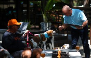 Fundador da New Danville Dog Treat Company explica tendências quentes na indústria de ração animal Camps Dog Treats na quarta -feira, 11 de junho de 2025, em Danville, Califórnia (Grupo de Notícias da Área da Baía de Aric Crabb/Bay)