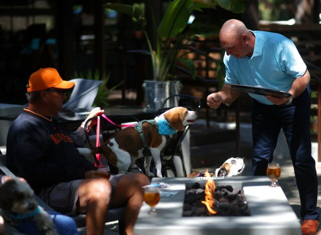 Camps Dog Treats na quarta -feira, 11 de junho de 2025, em Danville, Califórnia (Grupo de Notícias da Área da Baía de Aric Crabb/Bay)