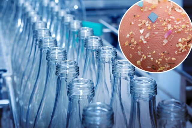 Garrafas de vidro têm cinco a 50 vezes mais microplásticas do que garrafas de plástico em um novo teste chocante

