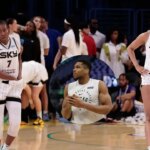 Giannis Anthetokounmpo cumprimenta a defesa apaixonada de Ariel Atkins de Melek Reese contra o ódio duradouro