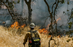 Idaho Sheriff: O atirador começou o fogo, “foi intencional”, foi uma emboscada “ Idaho Sheriff: O atirador começou o fogo, "foi intencional", foi uma emboscada "