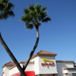 In Out Burger Warn